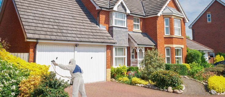 Mister SprayIT Garage Door Spraying Service